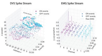 Hand-Gesture Recognition Based on EMG and Event-Based Camera Sensor Fusion: A Benchmark in Neuromorphic Computing